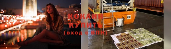 дмт Костерёво