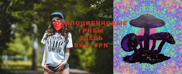 прущий лед Лагань