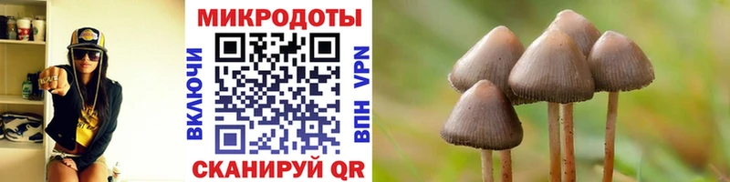 blacksprut маркетплейс  Кяхта  это клад  магазин  наркотиков  Галлюциногенные грибы мицелий 