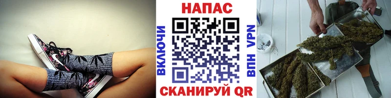 купить наркотики сайты  гидра как войти  Бошки Шишки MAZAR  Кяхта 